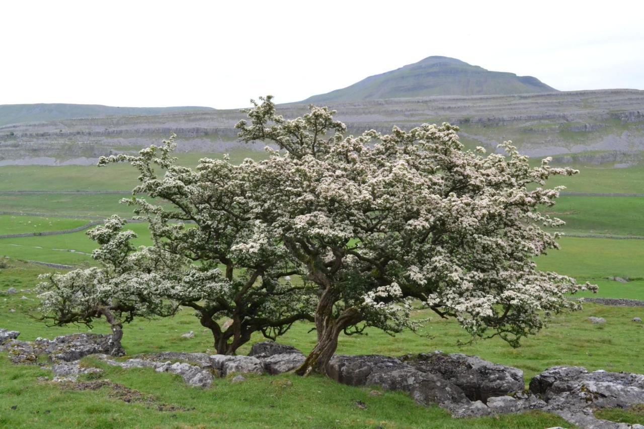 Dalecote Barn Bed & Breakfast Ingleton  Εξωτερικό φωτογραφία