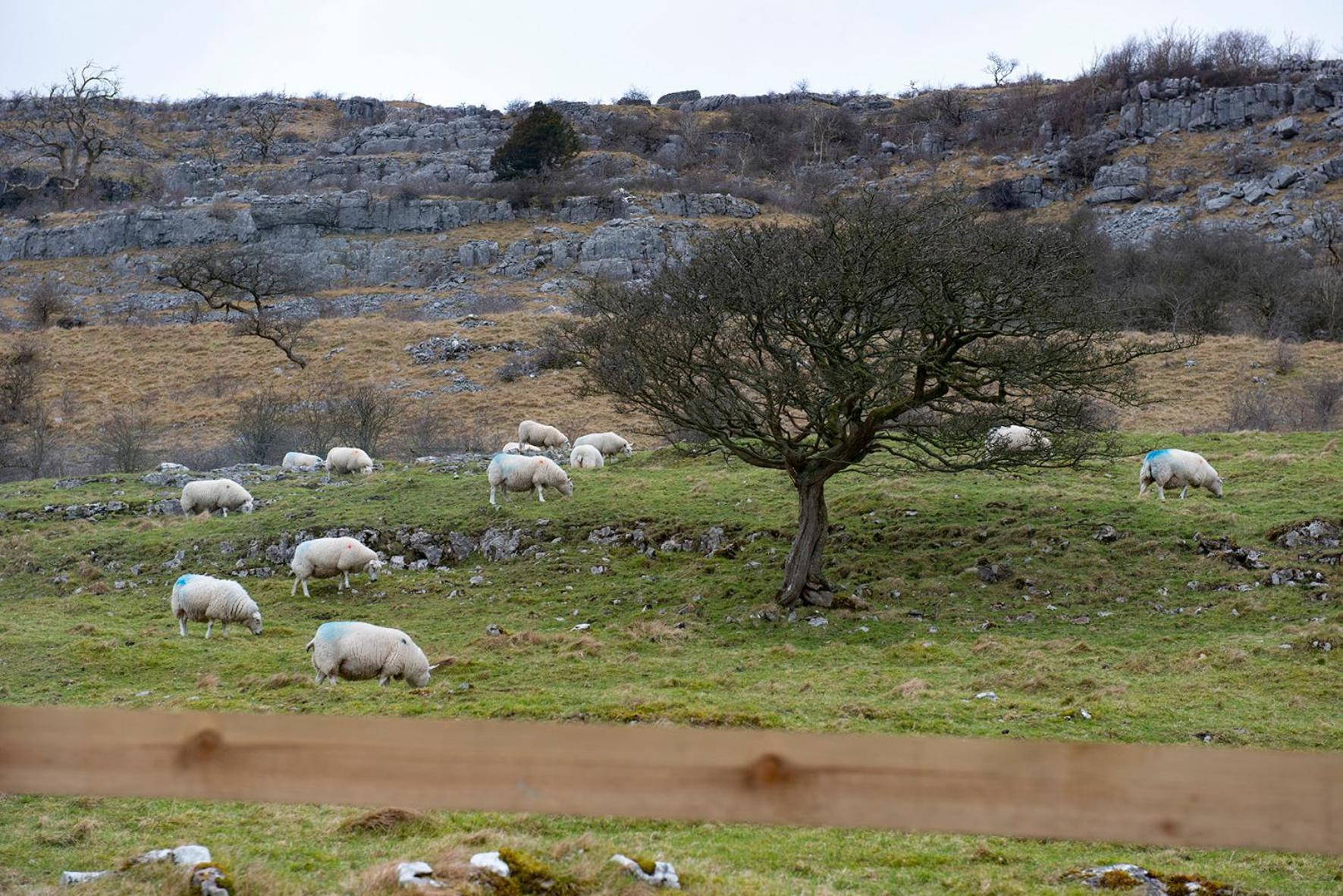 Dalecote Barn Bed & Breakfast Ingleton  Εξωτερικό φωτογραφία